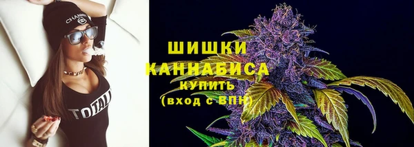 PSILOCYBIN Лабытнанги
