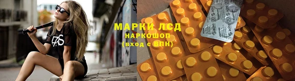 PSILOCYBIN Лабытнанги