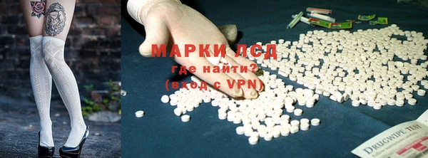 PSILOCYBIN Лабытнанги