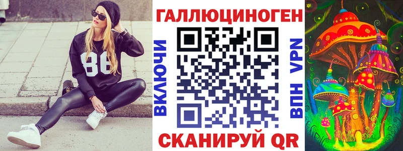 Купить  Шахты  Галлюциногенные грибы Cubensis 