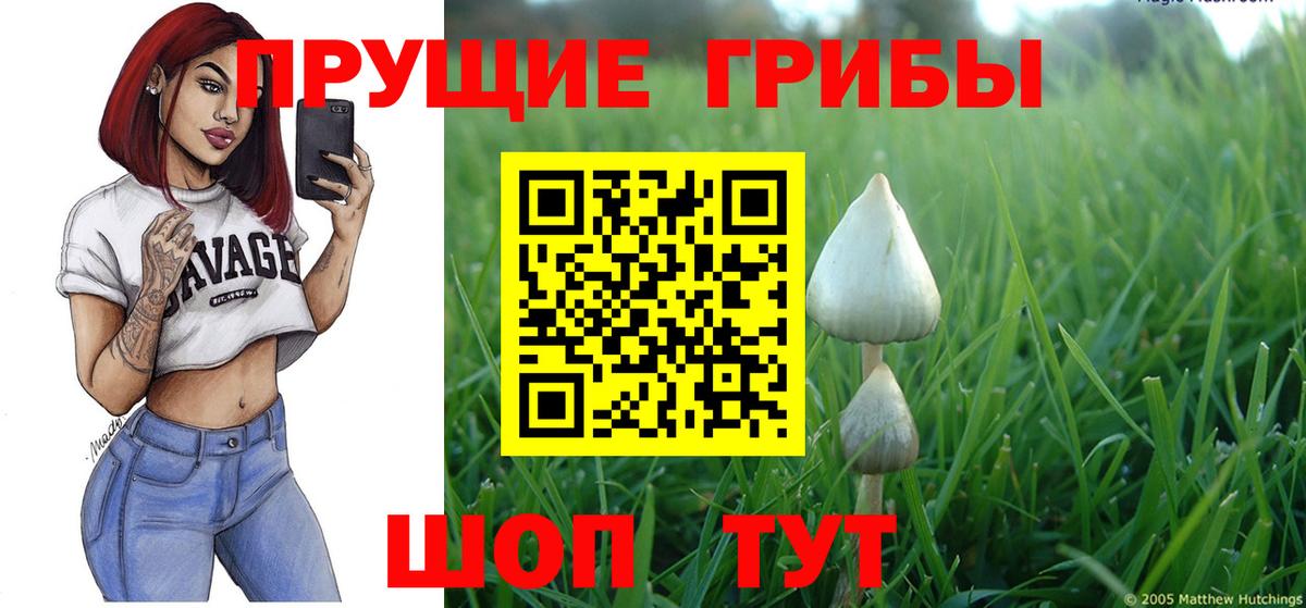 Псилоцибиновые грибы мицелий Шахты