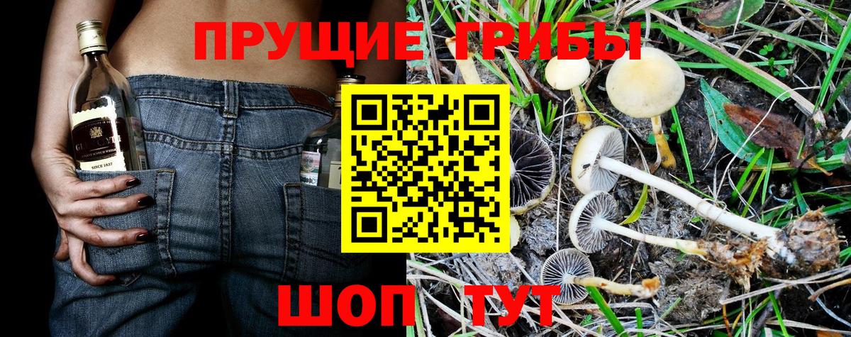 КОКАИН  Каннабис  A PVP СОЛЬ кристаллы  ГЕРОИН  Шахты  Вход с VPN  Гашиш  МЕФ кристаллы 