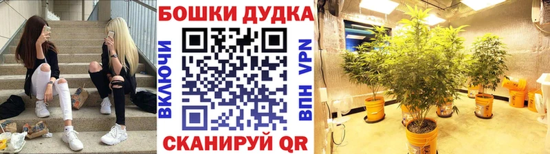 Купить закладки  Шахты  Бошки марихуана ГИДРОПОН 